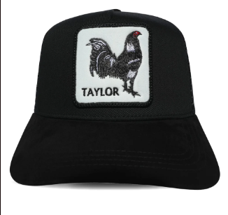 Taylor Trucker Hat (Black)