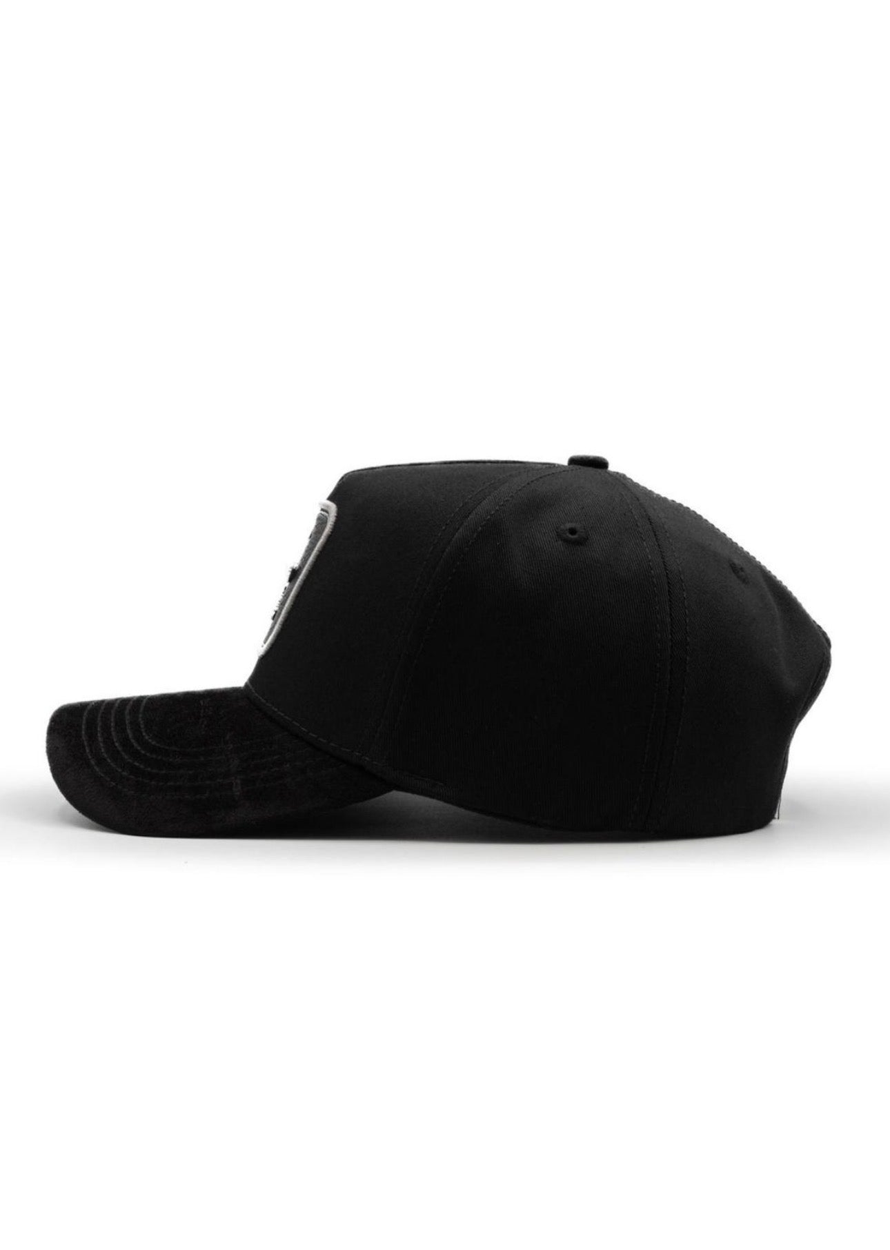 Crocodile (Black/Silver)